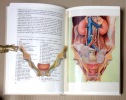 La femme. Un traité complet d'initiation. Anatomie - Vie Sexuelle - Amour - Maternité - Maladies - Ménopause. . Hermann Paull, Pollak Kurt: 