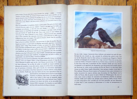 Le parc national suisse. . Collectif: