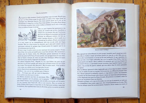 Le parc national suisse. . Collectif: