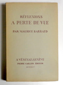 Réflexions à perte de vue.