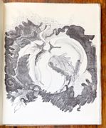 Image de livre