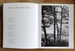 Finges, forêt du Rhône. . Bille S. Corinna, Pilet Suzi (phot.): 