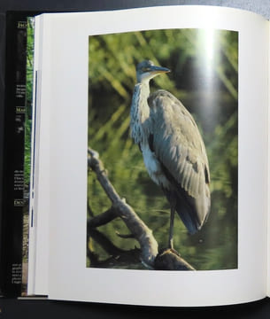 La Venoge. . Bovard Jacques-Etienne, photographies de Marcel Imsand et Denis Roulet: