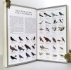 Guide des oiseaux. . Collectif - Jean-Claude Alberny, Jeffrey Boswall, Bruce Campbell, Jean Dorst et al.: 