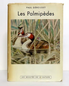 Les palmipèdes.