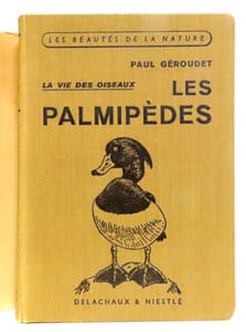 Les palmipèdes.