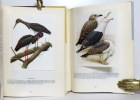 Les oiseaux nicheurs d'Europe. I : Passereaux - II : Pics, coraciiformes, martinets, engoulevents, coucous, rapaces nocturnes et diurnes, pigeons et ...