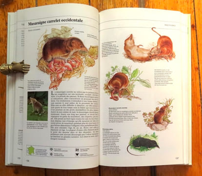 Guide des animaux des champs et des bois. . Jarry Guy et al.: 