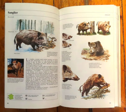 Guide des animaux des champs et des bois. . Jarry Guy et al.: 