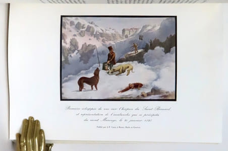 L'homme et le chien dans l'univers.