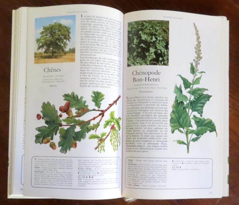Livre Secrets Et Vertus des Plantes Médicinales