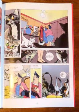 La bibliothèque fantastique. . Flament Patrick, Boucq François, Sokal Benoît, Hérenguel, Éric, Cossu Antonio, Pau Jean-Marc: 