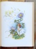 Meine Märchenwelt. Wundersame Geschichten von Blumen, Bäumen, Wolken und Wind. . Reinheim Sophie, Kuhn Felicitas (ill.): 