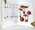 Les champignons. I: Les champignons à lamelles - II: Les champignons sans lamelles. . Schlittler Jakob, Waldvogel Fred (ill.): 