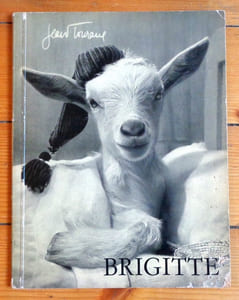 Brigitte.