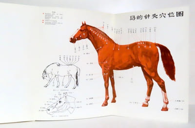 Manuel d'Acupuncture Vetérinaire. Pratique moderne en République Populaire de Chine.