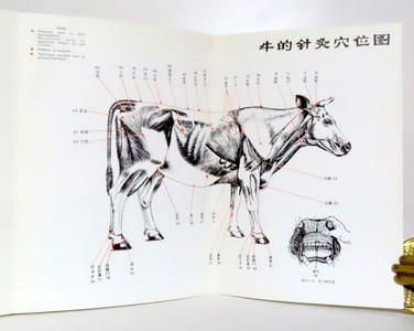 Manuel d'Acupuncture Vetérinaire. Pratique moderne en République Populaire de Chine.