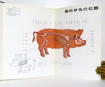 Manuel d'Acupuncture Vetérinaire. Pratique moderne en République Populaire de Chine.