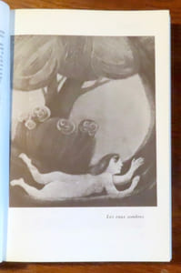 Le fantastique féminin, d'Ann Radcliffe à nos jours. 25 contes fantastiques choisis et présentés par Anne Richter.