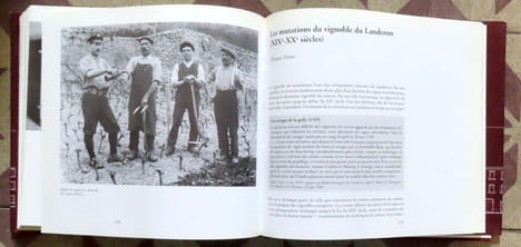 Le Landeron. Histoire d'une ville. . Bujard Jacques, Maurice de Tribolet et al.: