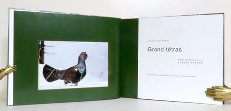 Les amours secrètes du Grand tétras. . Genoud Claude:
