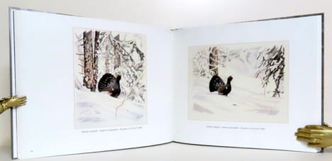 Les amours secrètes du Grand tétras. . Genoud Claude: