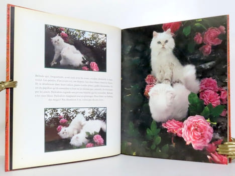 Miroir des chats. . Fini Leonor, Overstreet Richard (photographies):