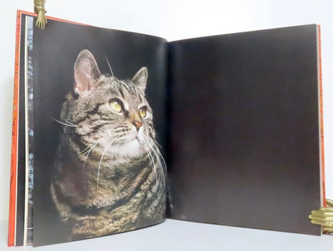 Miroir des chats. . Fini Leonor, Overstreet Richard (photographies):