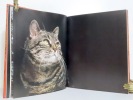 Miroir des chats. . Fini Leonor, Overstreet Richard (photographies): 