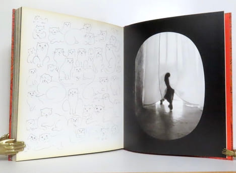 Miroir des chats. . Fini Leonor, Overstreet Richard (photographies):