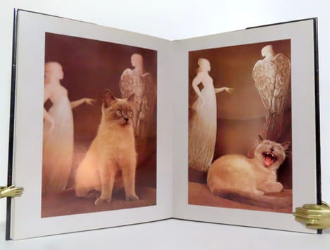 Chats d'atelier. . Fini Leonor, Kaleya Tana (photographies):