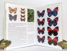 Encyclopédie des papillons. Plus de 2000 espèces en couleurs et grandeur nature. . Smart Paul: 