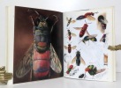 Insectes du monde. . Linsenmaier Walter: 