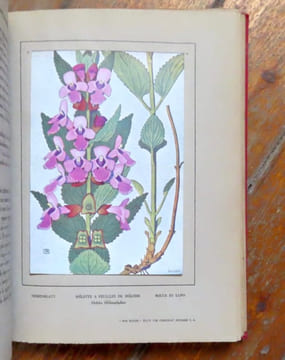 Nos fleurs. 48 planches en couleurs du peintre Philippe Robert, 135 monographies de fleurs. . Robert Philippe, Spinner Henri: