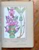 Nos fleurs. 48 planches en couleurs du peintre Philippe Robert, 135 monographies de fleurs. . Robert Philippe, Spinner Henri: 