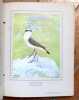 Nos oiseaux. 48 monographies d'oiseaux de Eugène Rambert, 48 reproductions d'aquarelles du peintre L. P. Robert. . Rambert Eugène, Robert Léo Paul ...