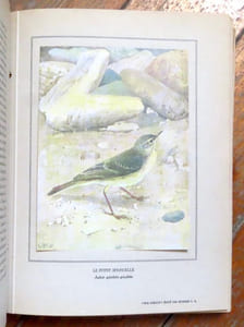 Nos oiseaux. 48 monographies d'oiseaux de Eugène Rambert, 48 reproductions d'aquarelles du peintre L. P. Robert.
