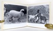 Image de livre