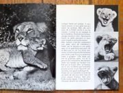 Image de livre