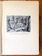 Image de livre