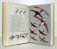 Guide des oiseaux d'Europe. . Collectif - Roger Peterson, Guy Mountfort, P. A. D. Hollom, Julian Huxley (intr.), Paul Géroudet (adaptation française): ...