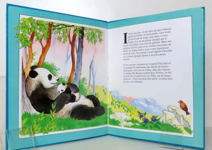 Chocolat, le petit panda.