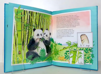 Chocolat, le petit panda.