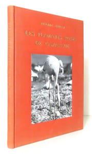 Les flamants roses de Camargue. 
