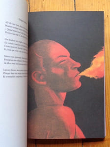 I fiori del male. Illustrazioni di Milton Glaser.