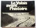 Le Valais avant l'histoire - 14000 av. J. -C. -47 apr. J. -C. . Morand Marie Claude et al.: 