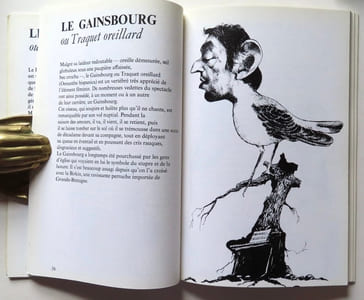 Drôles d'oiseaux. 