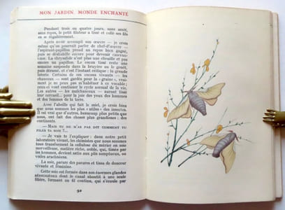 Mon jardin, monde enchanté. Petite histoire naturelle à l'usage des petits et des grands. L'abeille - La fourmi - Le ver à soie - Le ver luisant - Le grillon - L'escargot.