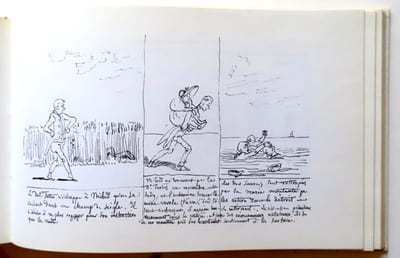 Les amours de Monsieur Vieux Bois - Les voyages et aventures du Docteur Festus - Monsieur Cryptogame.