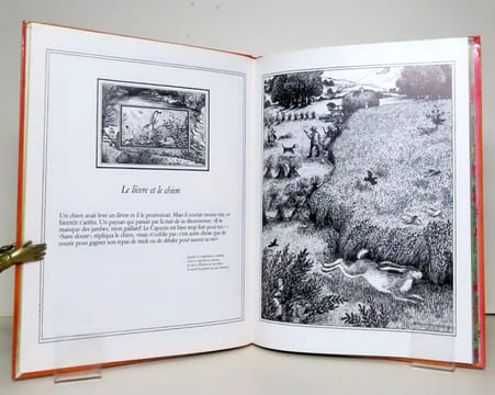 Vingt fables d'Esope. . Esope, Bernadette: 